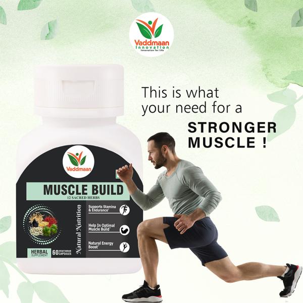 Vaddmaan MUSCLE BUILD 12 Ayurvedic Herbs for Muscle Gain, Recovery