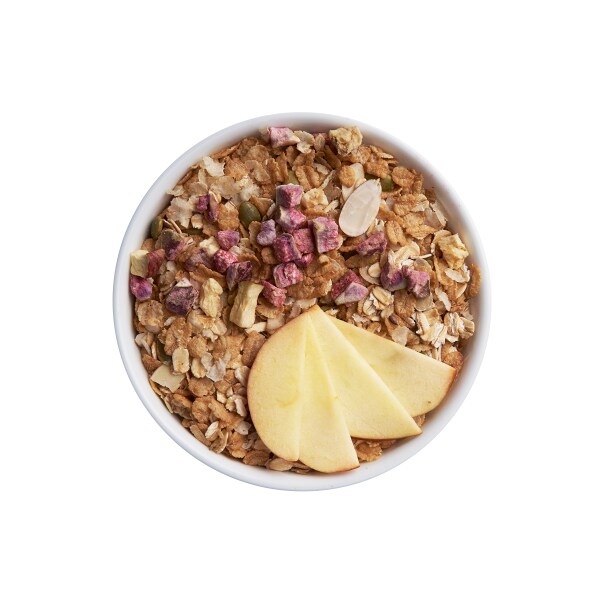 True Elements No Added Sugar Muesli 700gm JioMart