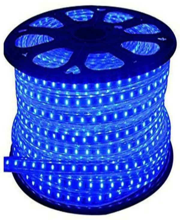 Astern Blue Rice Lights 800 LED/9.98m JioMart