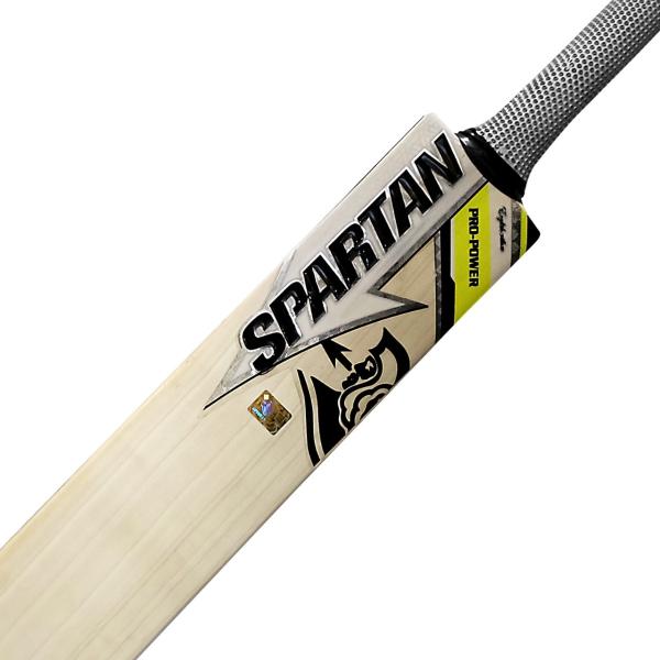 Spartan Pro Power English Willow Cricket Bat JioMart