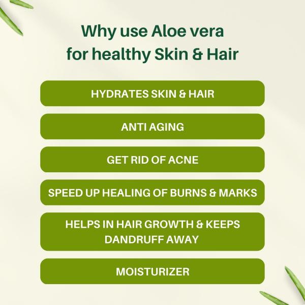 Mountain Soul Aloe Vera Gel 1kg Ideal for Skin, Face, Acne Scars, Paraben Free Sulphate Free