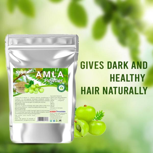 Syndy Amla Powder For Hair And Skin 200 G Pack of 2 JioMart