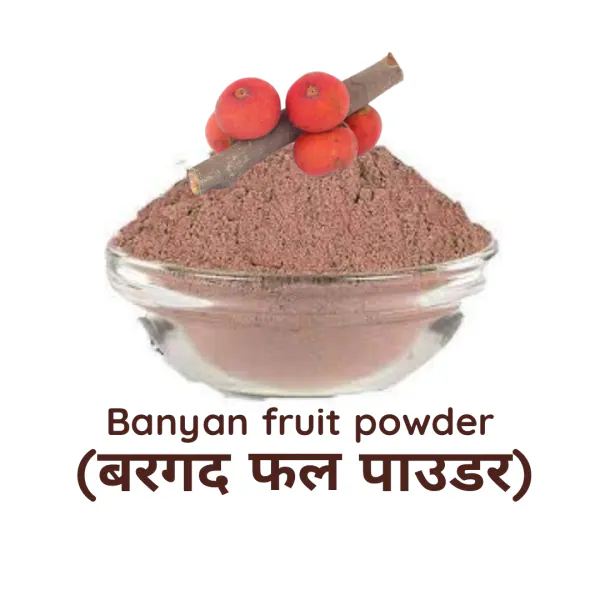SS520 Banyan Fruit Powder 400g. Bargad Phal Powder Aalam Palam Ficus