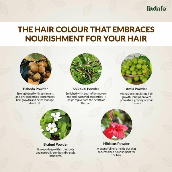 Indalo Natural Soft Black Hair Colour with Amla and Brahmi, Reducing Hair  Loss & Promote Hair Growth | No Ammonia, No PPD, No Peroxide for Men &  Women - 100gm - JioMart