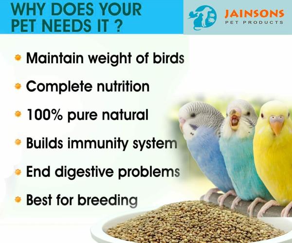 Jainsons Pet Products Green Foxtail Millet (Kangani) Small Bird Food