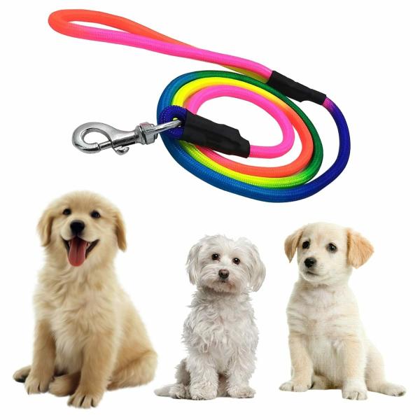 Jainsons Pet Products Nylon Dog Leash,Suitable for Small,Medium and
