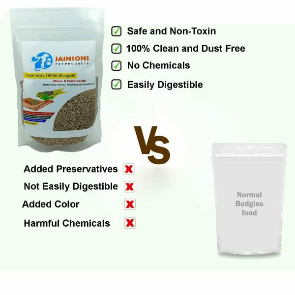 Jainsons Pet Products Green Foxtail Millet (Kangani) Small Bird Food