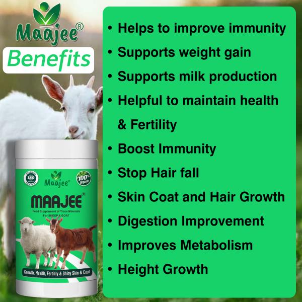 MAAJEE Feed Supplement, Food for Goats and Sheeps with Nutrition