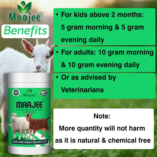 MAAJEE Feed Supplement, Food for Goats and Sheeps with Nutrition, Mineral  Mixtures 908gm - JioMart