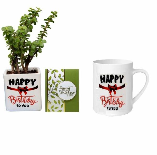 Guuchuu Good Luck Jade Plant Air Purifier With Square cerarmic pot indoor plant Printed Mug