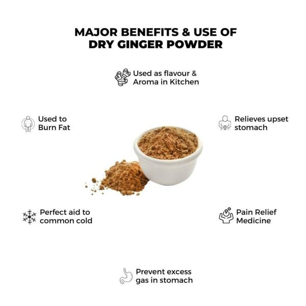 Chounk Dry Ginger Sonth Adrak Powder 100 G (Pack Of 3) JioMart