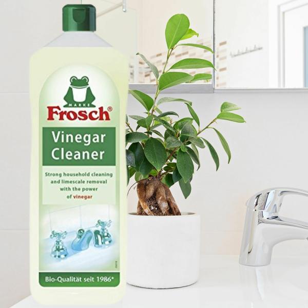 Frosch Vinegar All purpose Cleaner JioMart