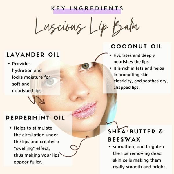 Essentia Extracts Lip Stitch Lip Balm JioMart