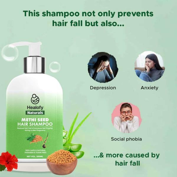 Healofy Naturals Methi Seed Hair Oil & Shampoo Pack, 200ml each | Safe for  During & After Pregnancy - JioMart