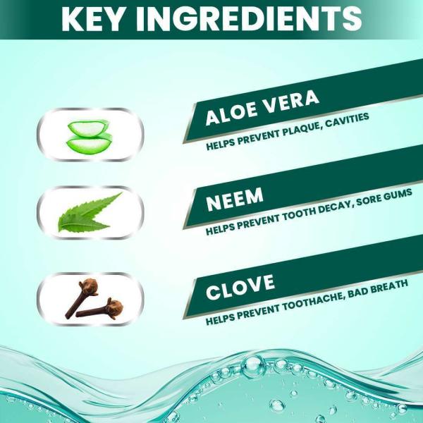 Nature Sure Aloe Vera Mouthwash with Neem and Clove for Oral Health 1