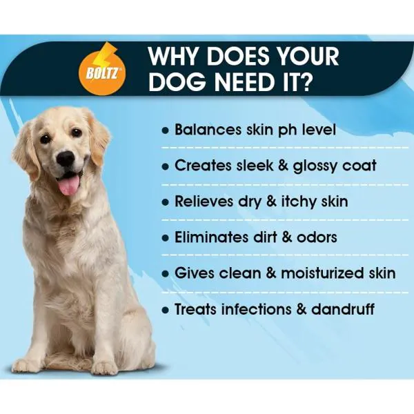 10 Simple Ways To Keep Your Dog's Fur Coat Shiny And Healthy