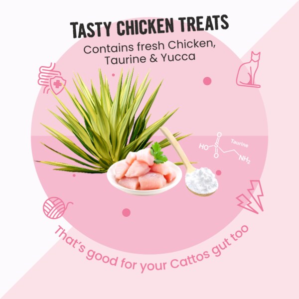 Bark Out Loud by Vivaldis Cat Pillows for Sensitive Gut Made in