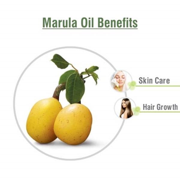 Crysalis Marula (Sclerocarya Birrea) 100 Pure & Natural Undiluted