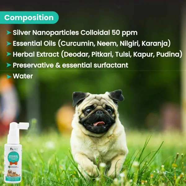 Can Dogs Use Silver Wound Gel