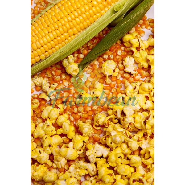 Farmbean Popcorn Seeds & 100 Popping Kernels 500gms A Grade Popcorn