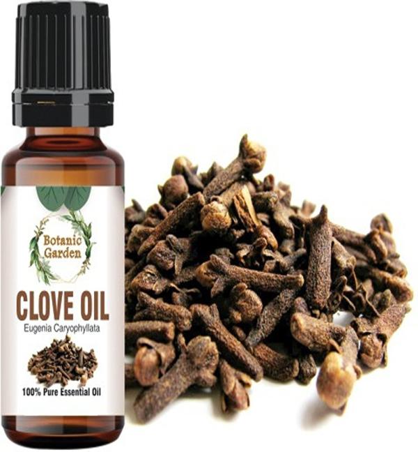 botanic garden Clove Oil/Eugenia caryophyllata For Bacterial, Viral, Fungal,Toothache, Gum