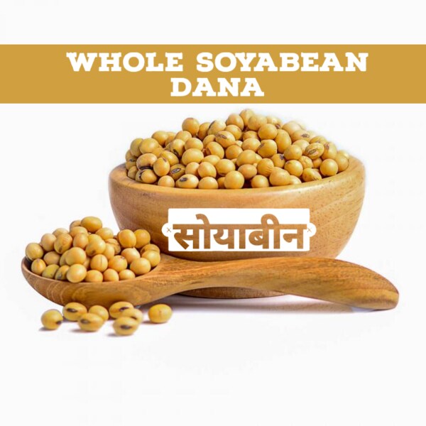 SS520 Row Soyabean Dana 250g. Whole Soya Seeds Soyabin (High Protein