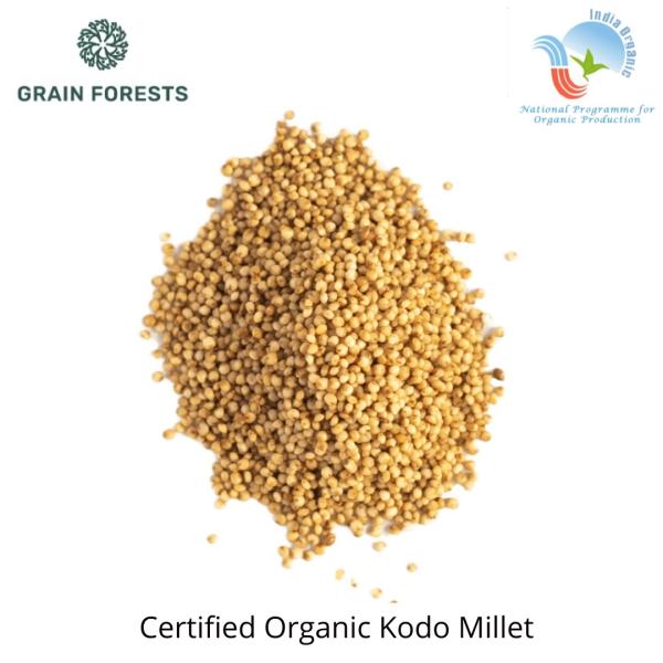 Grain Forests Organic Kodo Millet Kodo Millet 1kg (Kodo Millets Kodo