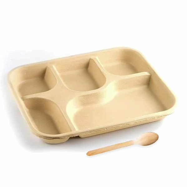 Vinishq Biodegradable Disposable Plate Square Thali