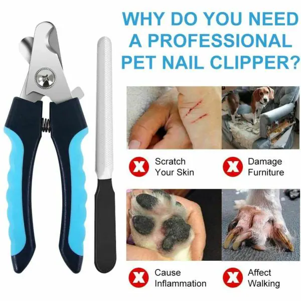 THE DDS STORE Dog Nails Clippers and Trimmer-Professional Pet Grooming Tool,Cat  Nail Scissor,Sharp Blades,Safety Guard to Avoid Overcutting,Free Nail File  - JioMart