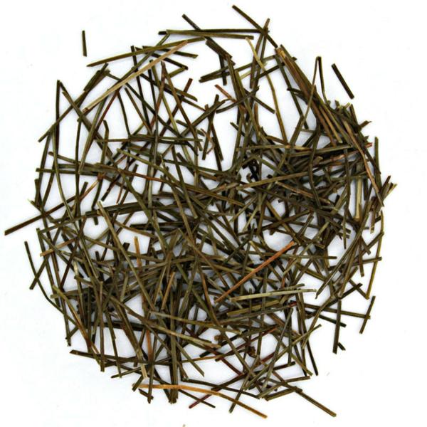 The Tea Trove Organic White Pine Needle Tea for coughs and colds JioMart
