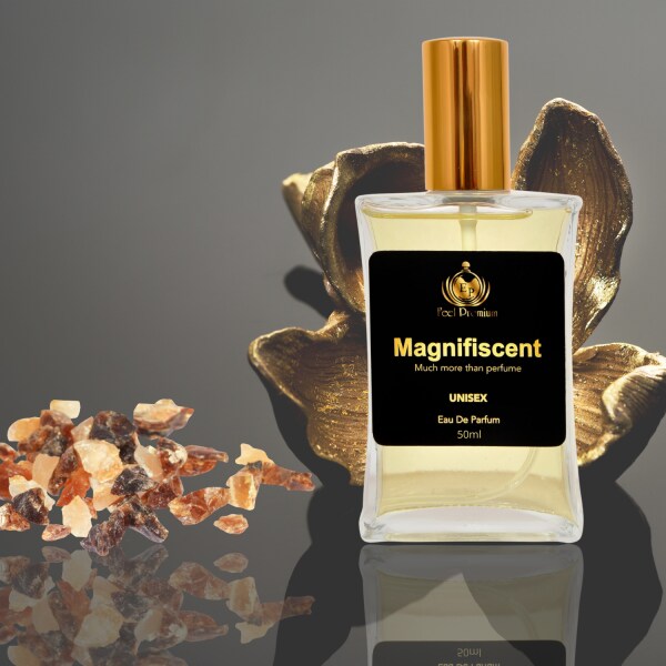 Europa Products MAGNIFISCENT 50ML Perfume Spray Gift Set for Men