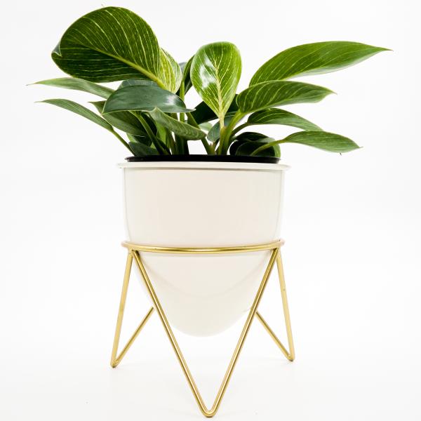 Arphibo Oval Metal Planter for Living Room with Gold Stand Modern