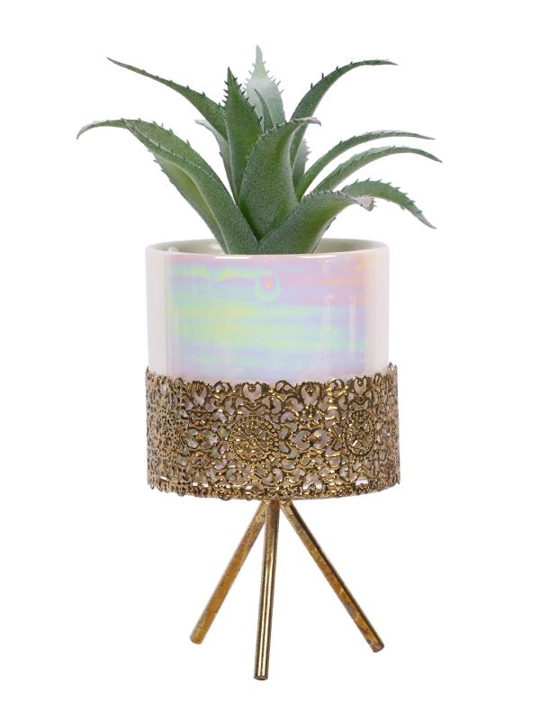 Fourwalls Artificial Succulent Plant in a Ceramic Pot with stand for Home Décor (21 cms Tall