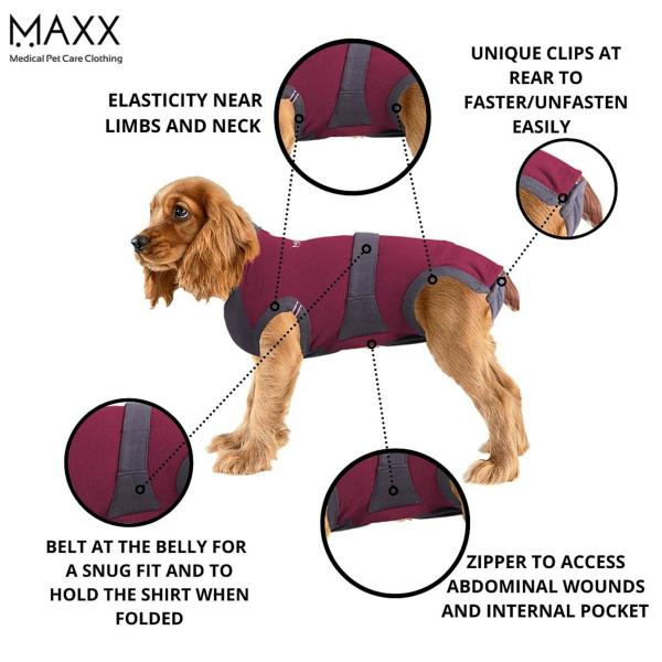 Maxx Ruby Red And Grey E Collar Alternative Medical Pet Clothing
