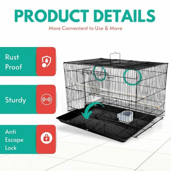 Buraq 2 FT Birds Cage Best for Love bird cages Parrot, Parakeet