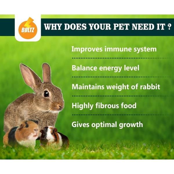 Boltz Growth Hay For Rabbits Guinea Pigs And Hamsters Medium 600 g