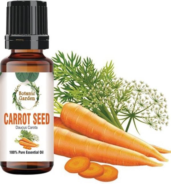 botanic garden Carrot Seed/Daucus Carota For Water retention,Urinary