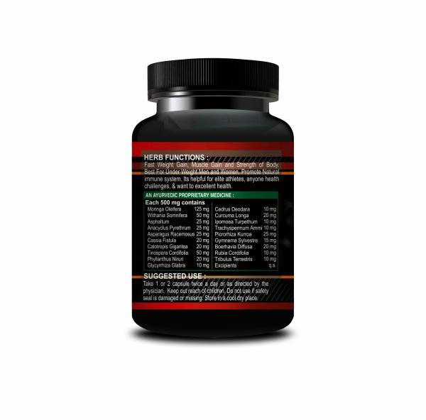 INLAZER Mega Mass Capsules Health Supplement weight Gain Capsule Mass