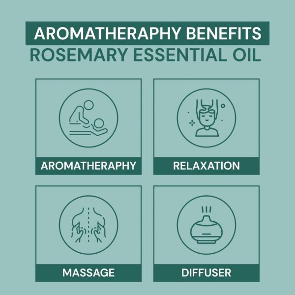 Youngtre Rosemary Essential Oil 100 Pure & for Strong Healthy Hair