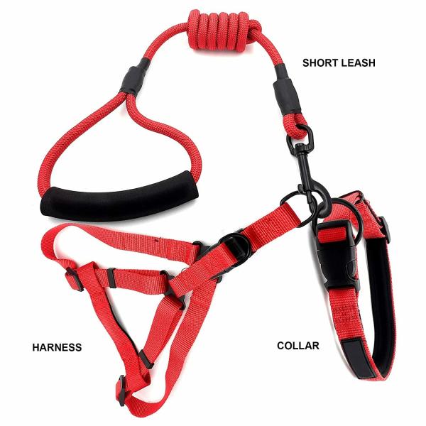 Jainsons Pet Products Nylon Rope Leash with Collar and Harness Set for
