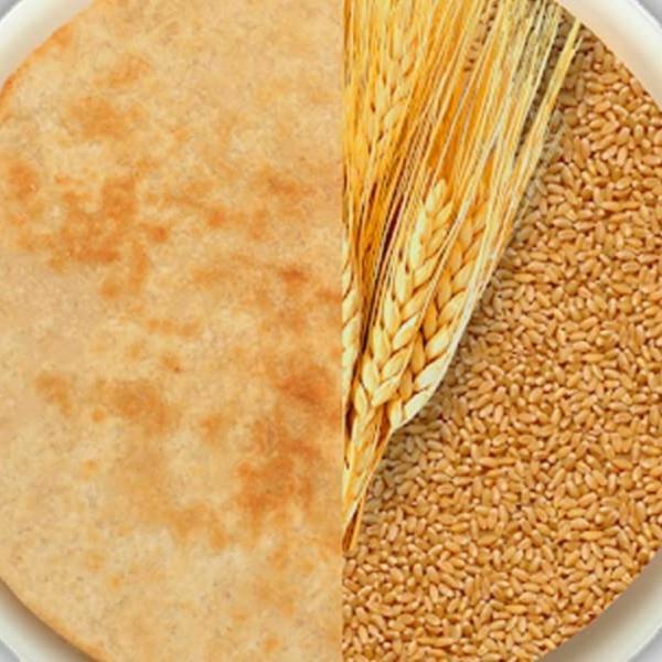 Nutrilogy Khakra ( Ajwain, Pani Puri, Kurkurey, Maggie Noodles) Khakra