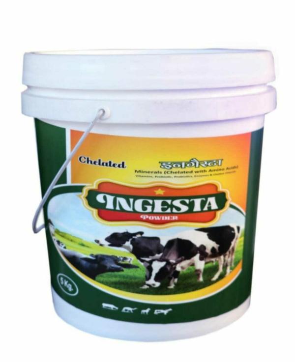 Ingesta Powder 5 kg, Mineral Mixture for Cow,Buffalo, Sheep, Goat Feed