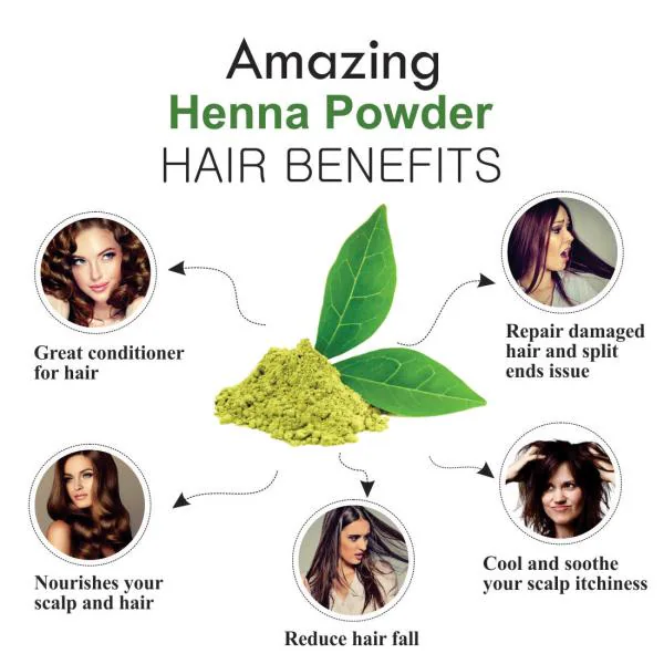 Khadi Ark 100 % Pure Natural Henna Powder for All types of Hair & skin (500  g) - JioMart