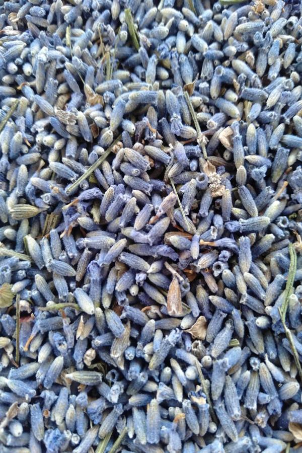 MORISH, Lavender Buds (Kashmiri Lavender Flower)50gm JioMart