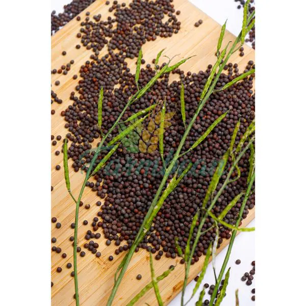 Farmbean Natural Mustard Seeds 250gms Sarso seed Whole Rai Whole