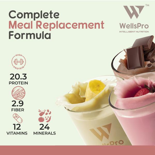WellsPro Slim Fit Shake Protein Swiss Chocolate Powder 500g JioMart