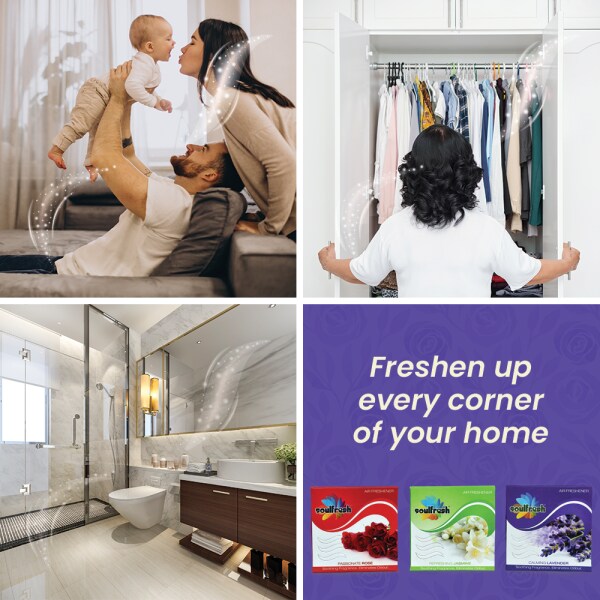 SOULFRESH Lavender Air freshener Blocks for toilet Pack of 3 50g