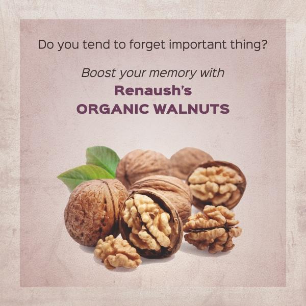 Renaush Organic Walnut / Akhrot Giri Rich in Omega3 (140gm) JioMart