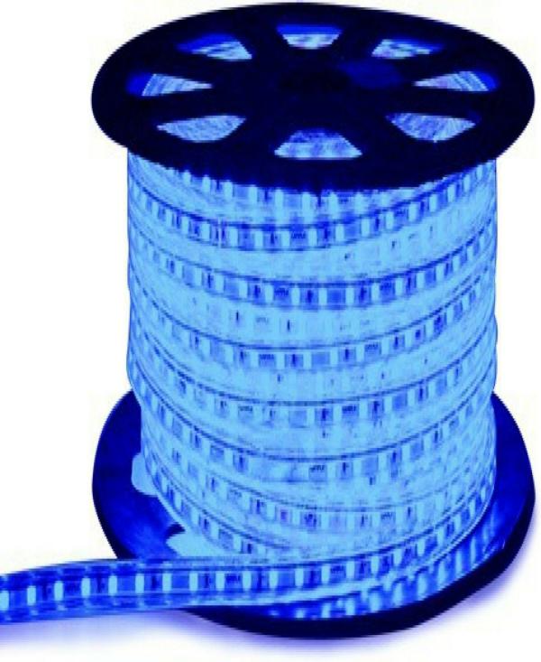 Astern Blue Rice Lights 350 LED/4.98inch JioMart