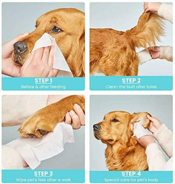 Pet Grooming Wipes for Paw Tear Nose Ear Bum Body (Pack of 100 Wipes